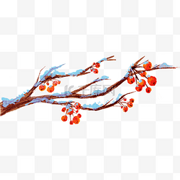 雪压图片_手绘雪中红梅枝插画