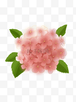 粉色清新图片_手绘花绣球花球温馨浪漫清新粉色