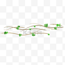 树叶藤蔓装饰图案