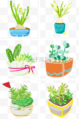 肉植物图片_花卉小盆栽水仙花多肉手绘插画