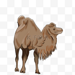 勇攀高峰字体图片_手绘插图动物骆驼PSD源文件