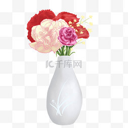 花瓶免抠图图片_植物花类康乃馨插花手绘