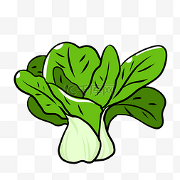 绿色植物手绘插画图片_绿色青菜手绘白菜插画