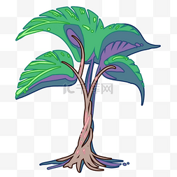 热带椰树小树