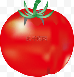 西红柿番茄红色绿色食品