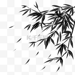 插画植物黑白图片_水墨中国风黑白竹叶插画