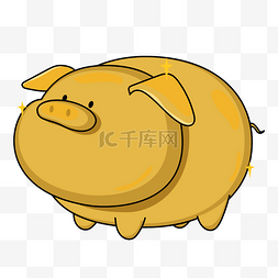 金色小猪金猪