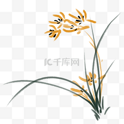 手绘植物手绘兰花图片_手绘水彩黄花兰花草插画