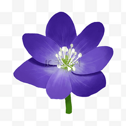 紫色花瓣手绘图片_手绘小清新蓝色花朵