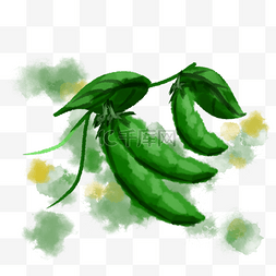 水彩豌豆蔬菜
