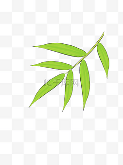 手绘绿叶植物元素