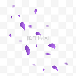 紫色浪漫漂浮花瓣