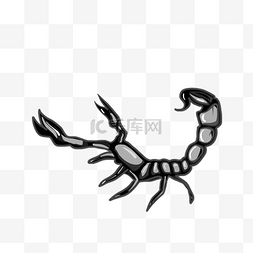 尾巴长图片_手绘插图动物蝎子PSD源文件
