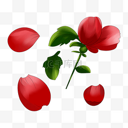 小红花朵图片_红玫瑰花朵