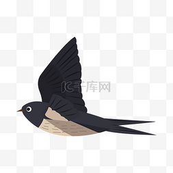 高飞素材图片_手绘高飞的燕子插画