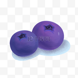 新鲜水果蓝莓插画