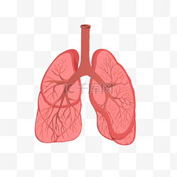 手绘卡通药图片_手绘人体器官肺插画