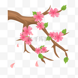 春天绽放的樱花插画