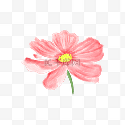 粉色红色花朵图片_手绘风格花朵小花