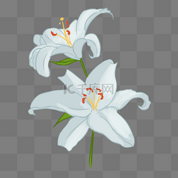 白色植物花朵元素