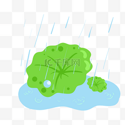 细雨图片_手绘雨水荷叶插画