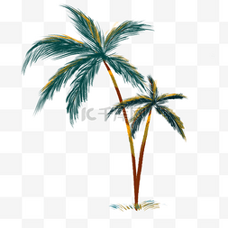 一棵树图片_热带树木椰树插画