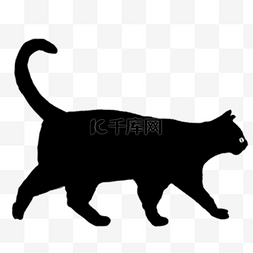 动物设计图片_动物小黑猫矢量元素