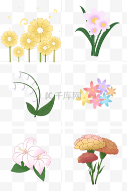 白色花儿图片_彩色小花朵