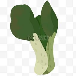 蔬菜青菜扁平风格