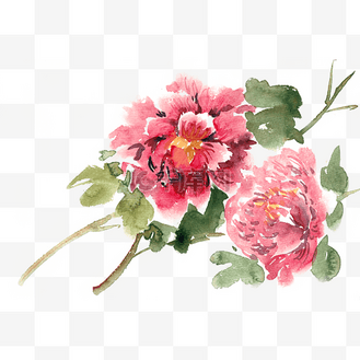 绽放的花朵水彩画png免抠素材