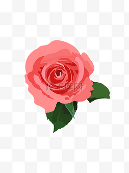 玫瑰花植物粉色浪漫手绘风可商用