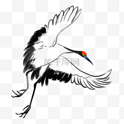 水墨飞翔的白鹤插画