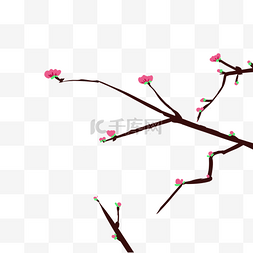 春天的粉色花枝插画