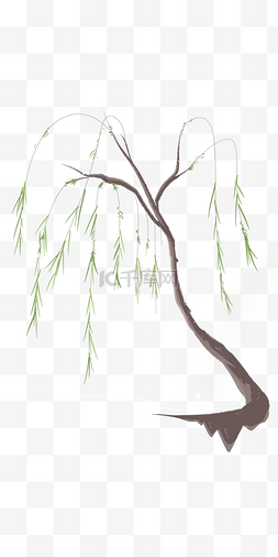河边的柳树清明节插画