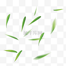 春天绿叶素材下载图片_风吹散的落叶漂浮素材免费下载