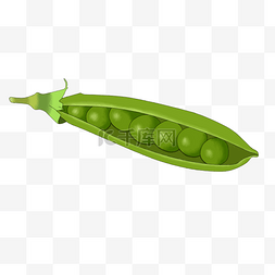 一勺豌豆图片_豌豆农作物单个元素