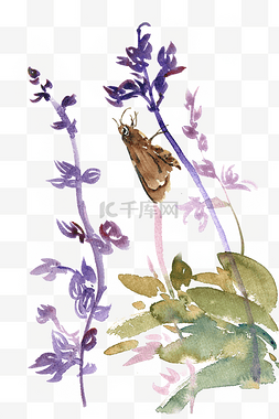紫色花水彩图片_紫色花与蝴蝶水彩画PNG免抠素材