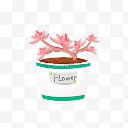 花卉粉色多肉插画