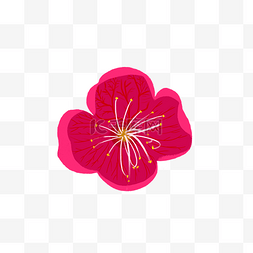 一朵花手绘图片_小物插画花卉一朵梅花免扣素材