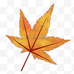 秋季手绘矢量树叶图片_手绘卡通立秋秋季枫叶