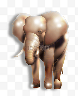 非洲象图片_地球的霸主非洲大象