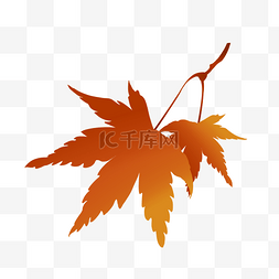 秋季海报素材图图片_秋景秋色枫叶开通图