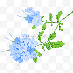 蓝色小花卉图片_卡通手绘小清新蓝雪花
