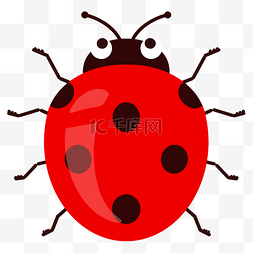 甲虫矢量图图片_红色甲虫矢量图
