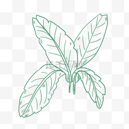 卡通植物装饰背景图片_绿色叶子植物矢量图