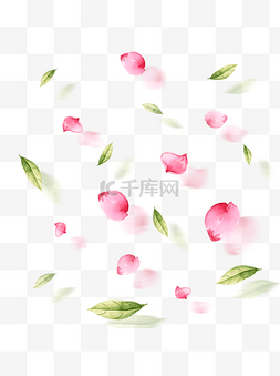 清新树叶图案图片_水彩手绘漂浮花瓣树叶元素
