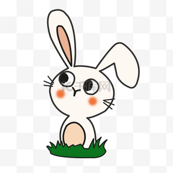 小动物十二生肖小兔子卡通兔