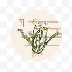 手绘花水仙图片_24节气雨水水仙花水墨画