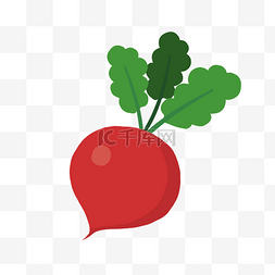 卡通食物手绘插画图片_手绘卡通红萝卜蔬菜手绘