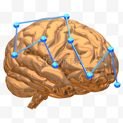 人体三维图片_大脑人工智能科技人体智慧器官智